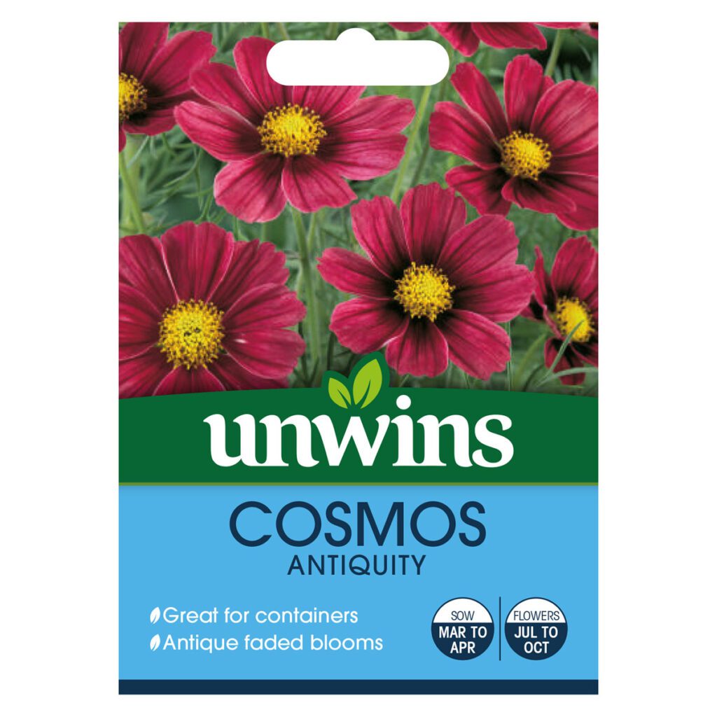 Unwins Cosmos Antiquity Seeds 5051618027601 2